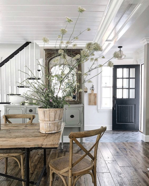 greenery in an interior