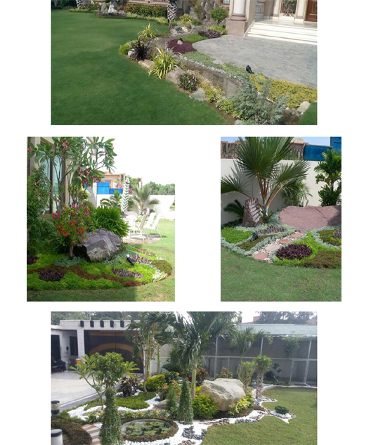 Landscape Design Services